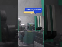 Cold heading workshop- Cold Heading Die Hexagonal Carbide Nut Forming Die